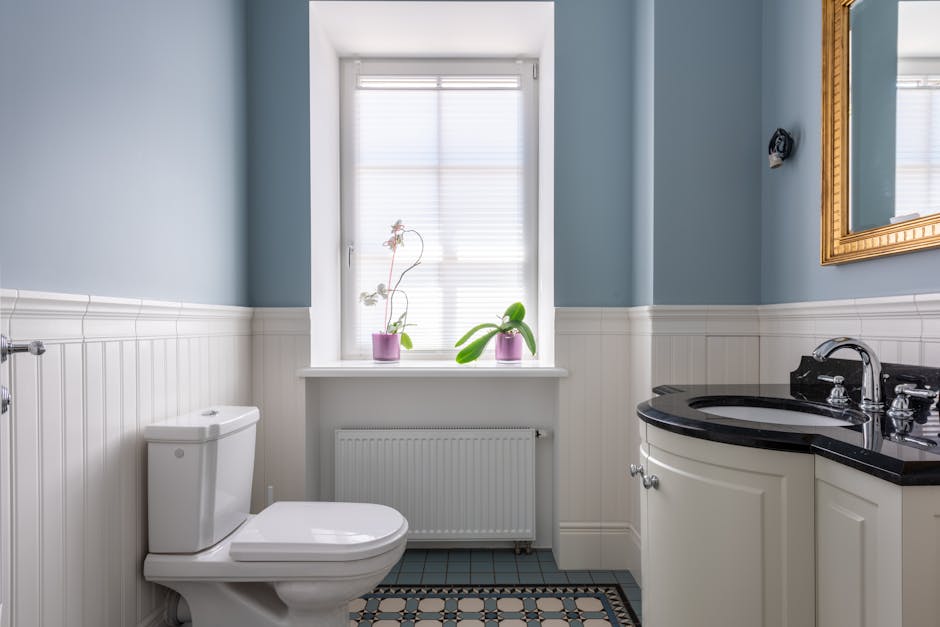 Toilet Repair & Installation in Goodyear, AZ - The Goodyear Plumber